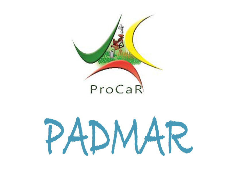 Partenaire 5
