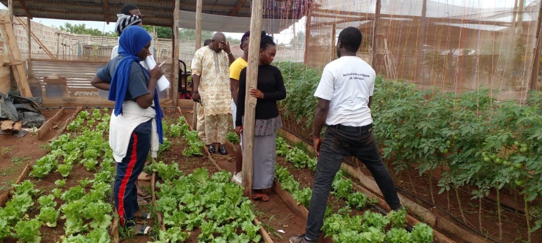 Formation ABC Grower - visuel 2